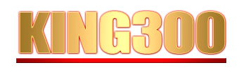Logo King300